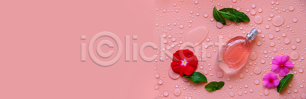 신선 사람없음 JPG 아웃포커스 포토 해외이미지 꽃 내추럴 백그라운드 분홍색 뷰티 수분 오일(화장품) 잎 자연 해외202310