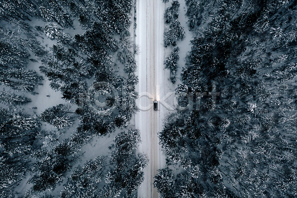 사람없음 JPG 포토 하이앵글 해외이미지 가로수 겨울 길 나무 눈(날씨) 숲 야외 자동차 자연 풍경(경치) 해외202310