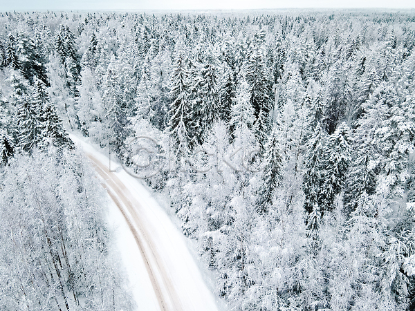 사람없음 JPG 포토 하이앵글 해외이미지 가로수 겨울 길 나무 눈(날씨) 숲 야외 자연 풍경(경치) 해외202310