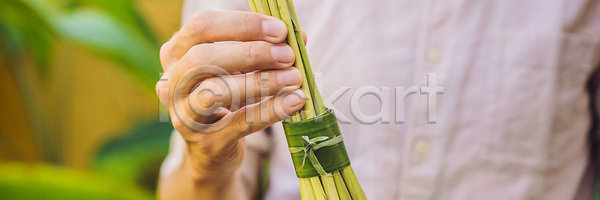 낭비 사람없음 JPG 포토 해외이미지 가방 감자 건강 과일 내추럴 당근 덮개 돌봄 라이프스타일 면 목재 무료 바나나 배너 백그라운드 상점 상품 생태계 쇼핑 에코 영 오염 오이 유기농 음식 잡화 재활용 재활용품 주택 채소 초록색 친환경 카피스페이스 컨셉 탁자 토마토 패키지 해외202310 해외포토 환경