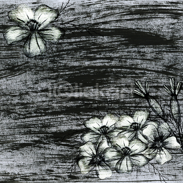사람없음 JPG 포토 해외이미지 흑백 그래픽 그런지 꽃 꽃무늬 물감 미술 백그라운드 수확 식물 잎 질감 패턴 해외202310 회색