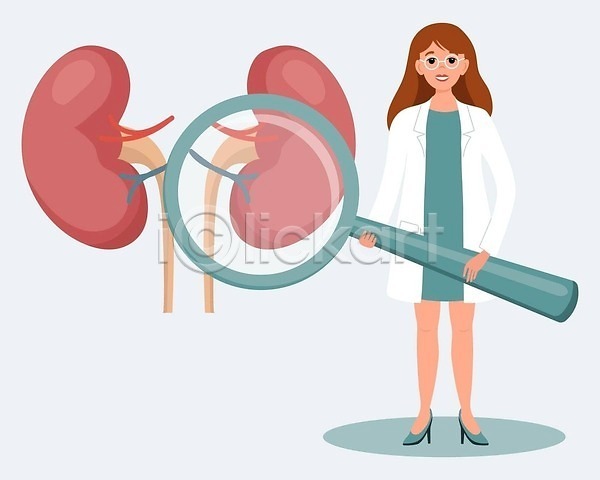 성인여자한명만 여자 한명 EPS 일러스트 해외이미지 건강 건강관리 돋보기 들기 무료이미지 신장 의사 해외202310 해외일러스트