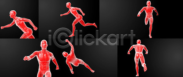 남자 사람 사람없음 3D JPG 일러스트 포토 해외이미지 간 건강 골격 과학 뼈 생물학 신체 오르간 해부 해외202004 해외포토