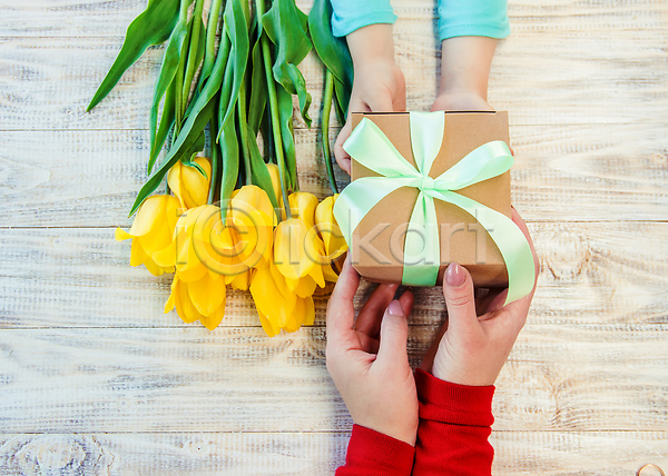 두명 JPG 포토 해외이미지 들기 무료이미지 선물 선물상자 손 잡기 튤립 해외202310 해외포토