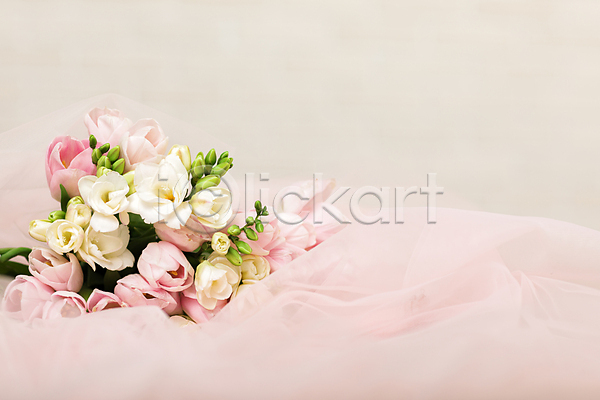 사람없음 JPG 포토 해외이미지 결혼 꽃다발 베일 부케 분홍색 잎 튤립 해외202310