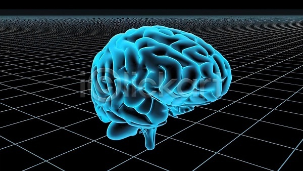 사람없음 3D JPG 포토 해외이미지 격자 뇌 생명과학 생물학 신경기관 실험 파란색 해외202310