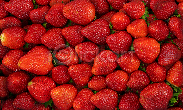 사람없음 JPG 포토 해외이미지 과일 딸기 무더기 빨간색 해외202310