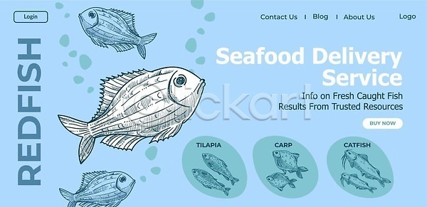 사람없음 EPS 일러스트 해외이미지 드로잉 스케치 어류 온라인몰 웹 하늘색 해산물 해외202310 해외일러스트