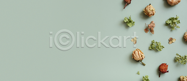 건조 사람없음 JPG 포토 해외이미지 가을 갈색 결혼 계절 공백 구성 꽃 꽃무늬 내추럴 디자인 레이아웃 배너 백그라운드 복고 뷰티 수국 수확 식물 오렌지 오브젝트 원형 자연 장식 정원 질감 초록색 카피스페이스 파스텔톤 패턴 프레임 플랫레이 해외202310 해외포토