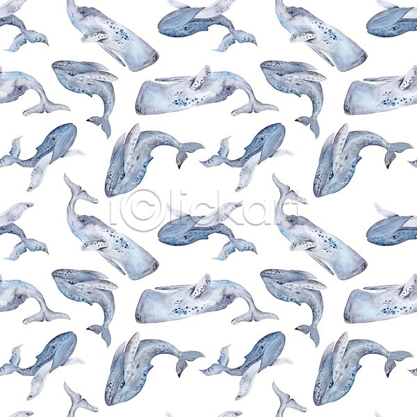 사람없음 JPG 포토 해외이미지 고래 동물 수채화(물감) 패턴 해외202310 회색