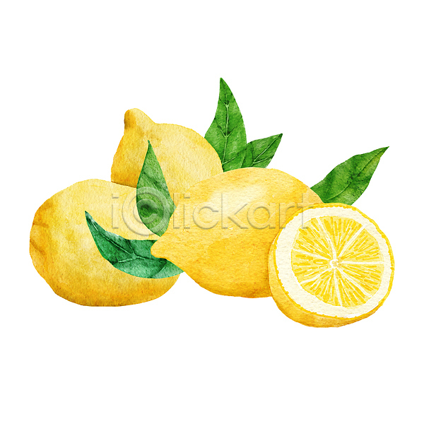 사람없음 JPG 포토 해외이미지 단면 레몬 손그림 수채화(물감) 잎 질감 해외202310