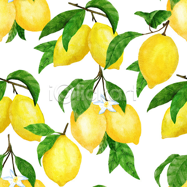 사람없음 JPG 포토 해외이미지 꽃 나뭇가지 레몬 손그림 수채화(물감) 잎 질감 해외202310