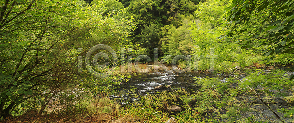 고요 침묵 환경보전 휴식 흐름 사람없음 JPG 포토 해외이미지 강 개울 계곡 계절 공원 기후변화 나무 다양 물 민물 삼림지대 생물학 생태계 숲 스페인 시골 식물 야생동물 야외 열대우림 자연 전원 풍경 해외202310 해외포토 환경