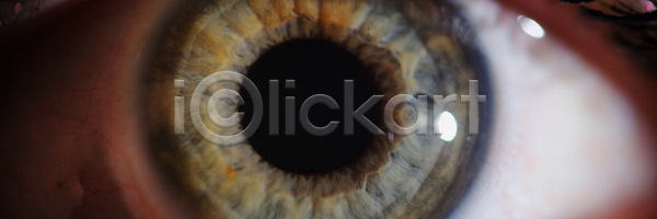 무서움 순수 사람 여자 한명 JPG 포토 해외이미지 건강 검색 공 과학 광학 내추럴 눈동자 닫기 돌봄 반사 붓꽃 뷰티 비전 스파이 시력 시력검사 약 오픈 응시 질감 초록색 치료 컨셉 컬러 학생 해외202310 해외포토