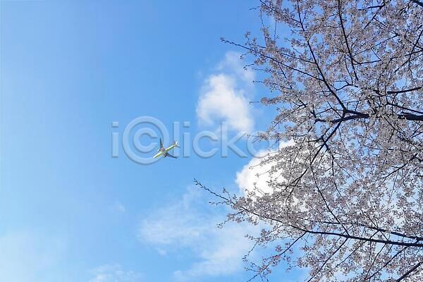 분위기 사람없음 JPG 포토 해외이미지 나무 나뭇가지 벚꽃 봄 식물 아침 오렌지 주간 하늘 해외202310