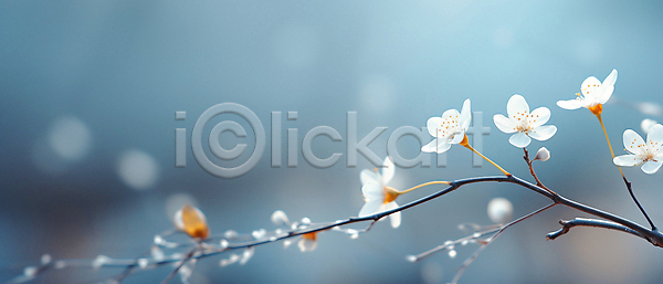 사람없음 JPG 디지털합성 편집이미지 겨울 꽃 나뭇가지 백그라운드 보케 빛망울 자연 카피스페이스 파란색