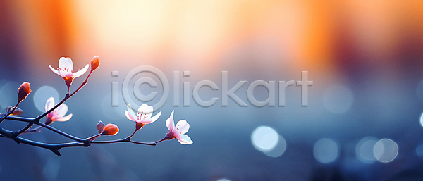 사람없음 JPG 디지털합성 편집이미지 겨울 꽃 꽃봉오리 나뭇가지 백그라운드 보케 빛망울 자연 카피스페이스