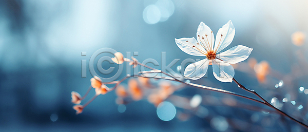 사람없음 JPG 디지털합성 편집이미지 겨울 꽃 나뭇가지 백그라운드 보케 빛망울 자연 파란색