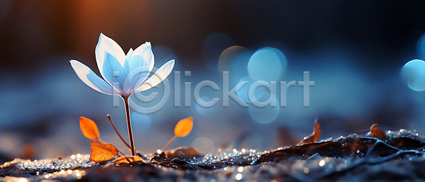 사람없음 JPG 디지털합성 편집이미지 겨울 꽃 백그라운드 보케 빛망울 잎 자연
