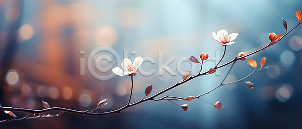 사람없음 JPG 디지털합성 편집이미지 겨울 꽃 나뭇가지 백그라운드 보케 빛망울 잎 자연 파란색