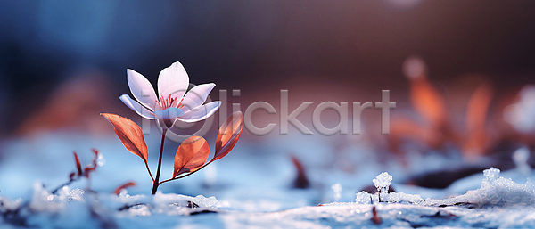 사람없음 JPG 디지털합성 편집이미지 겨울 꽃 눈덮임 백그라운드 잎 자연
