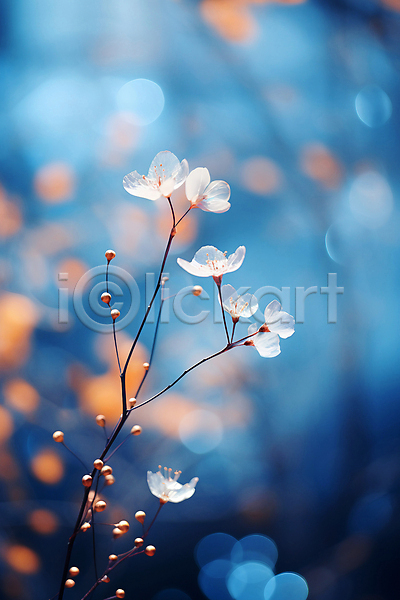 사람없음 JPG 디지털합성 편집이미지 겨울 꽃 나뭇가지 백그라운드 보케 빛망울 열매 자연 파란색