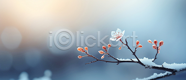 사람없음 JPG 디지털합성 편집이미지 겨울 꽃 나뭇가지 눈덮임 백그라운드 보케 빛망울 자연 카피스페이스 파란색