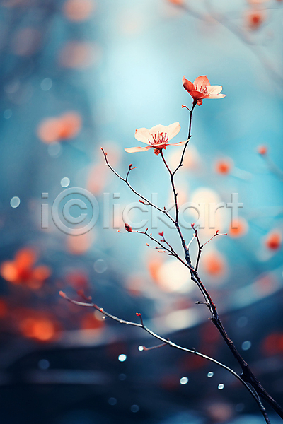 사람없음 JPG 디지털합성 편집이미지 겨울 꽃 나뭇가지 백그라운드 보케 빛망울 자연 파란색
