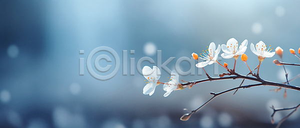 사람없음 JPG 디지털합성 편집이미지 겨울 꽃 나뭇가지 백그라운드 자연 카피스페이스 파란색