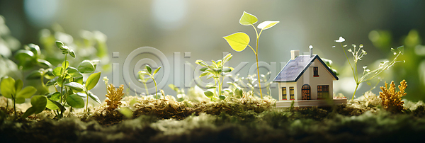 사람없음 JPG 편집이미지 그린에너지 백그라운드 새싹 에코 잔디 주택 친환경 카피스페이스 풀(식물)