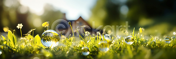 사람없음 JPG 편집이미지 그린에너지 꽃 물방울 백그라운드 에코 잔디 친환경 카피스페이스