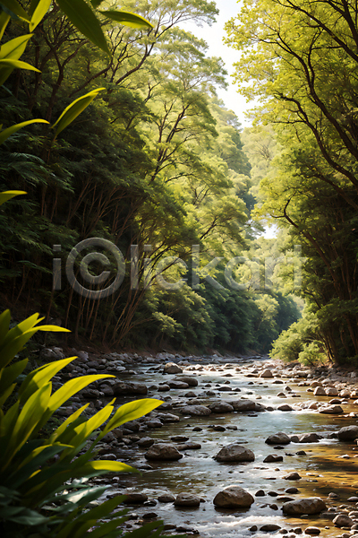 사람없음 JPG 편집이미지 강 계곡 나무 돌 물 비경 숲 숲속 자연 풀(식물) 풍경(경치)