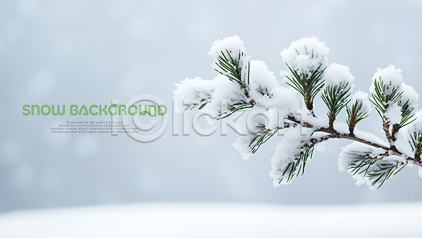 사람없음 PSD 편집이미지 겨울 나뭇가지 눈(날씨) 눈덮임 백그라운드 솔잎 흰색