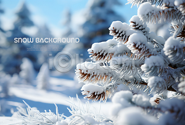 사람없음 PSD 편집이미지 겨울 나무 나뭇가지 눈(날씨) 눈덮임 백그라운드 소나무
