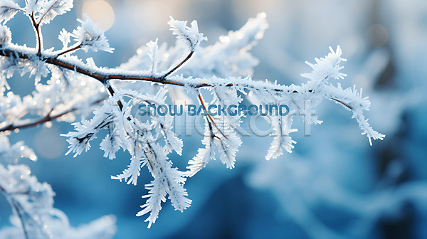 사람없음 PSD 편집이미지 겨울 나뭇가지 눈(날씨) 백그라운드 솔잎 얼음 파란색