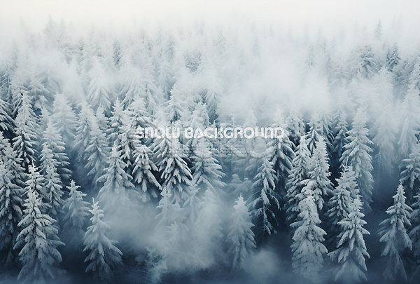 사람없음 PSD 편집이미지 겨울 눈(날씨) 눈덮임 백그라운드 소나무 숲 안개 흐림