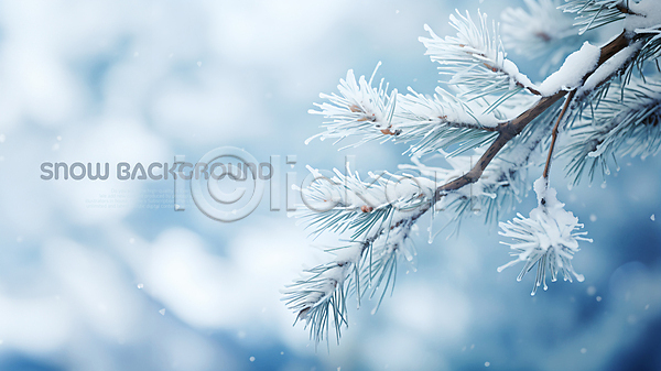 사람없음 PSD 편집이미지 겨울 나뭇가지 눈(날씨) 눈덮임 백그라운드 소나무 흰색