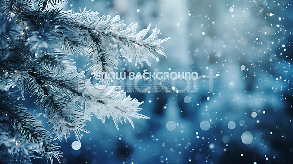 사람없음 PSD 편집이미지 겨울 나뭇가지 눈(날씨) 눈내림 백그라운드 소나무 얼음 파란색