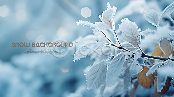 사람없음 PSD 편집이미지 겨울 나뭇가지 나뭇잎 눈(날씨) 백그라운드 서리 파란색
