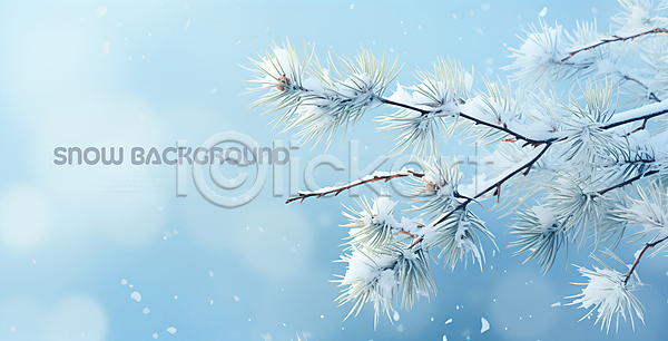 사람없음 PSD 편집이미지 겨울 나뭇가지 눈(날씨) 눈덮임 백그라운드 소나무 파란색