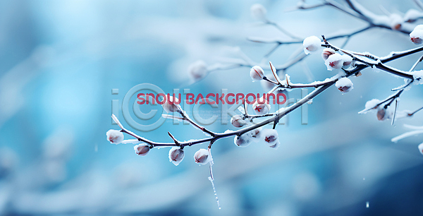 사람없음 PSD 편집이미지 겨울 나뭇가지 눈(날씨) 눈덮임 백그라운드 열매 파란색