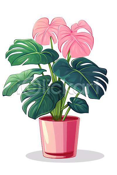 사람없음 PSD 일러스트 공기정화 공기정화식물 몬스테라 분홍색 식물 자연 초록색 화분