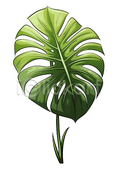 사람없음 PSD 일러스트 공기정화 공기정화식물 몬스테라 식물 잎 자연 초록색