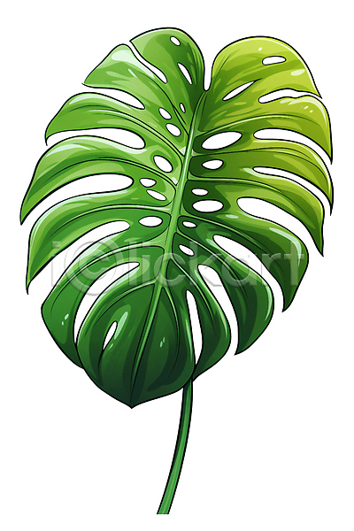 사람없음 PSD 일러스트 공기정화 공기정화식물 몬스테라 식물 잎 자연 초록색