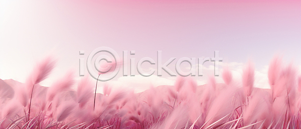 사람없음 JPG 근접촬영 편집이미지 가을(계절) 백그라운드 분홍색 팜파스그라스 풍경(경치) 하늘