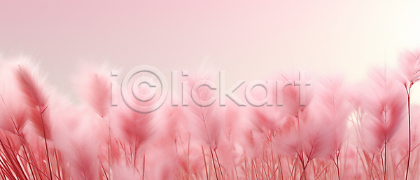 사람없음 JPG 근접촬영 편집이미지 가을(계절) 백그라운드 분홍색 팜파스그라스 풍경(경치) 하늘