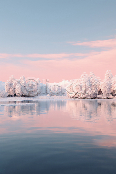 사람없음 JPG 디지털합성 편집이미지 겨울 나무 눈덮임 물 숲 자연 풍경(경치) 호수