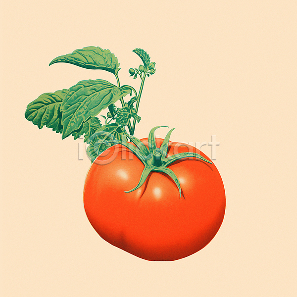 사람없음 PSD 일러스트 빨간색 식재료 잎 토마토