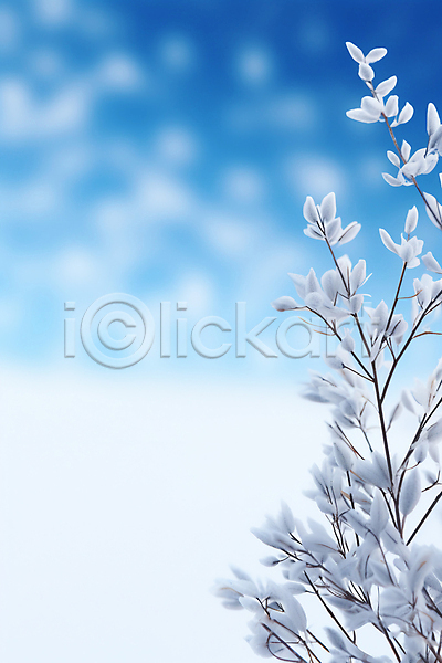 사람없음 JPG 편집이미지 겨울 겨울눈 나뭇가지 나뭇잎 눈(날씨) 눈내림 백그라운드 서리 카피스페이스 흰색
