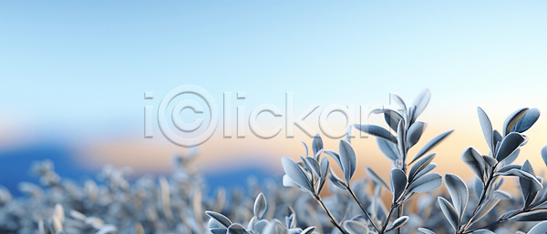 사람없음 JPG 편집이미지 겨울 나뭇가지 나뭇잎 눈(날씨) 눈내림 백그라운드 서리 카피스페이스